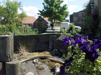Tuin